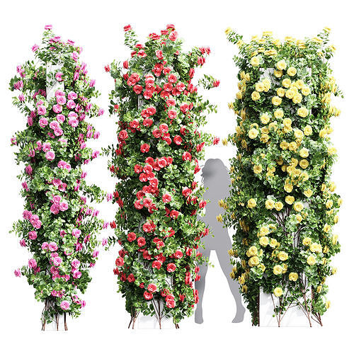 New Plant High detail Climbing Roses Cube Columns 3D model