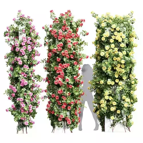 New Plant High detail Climbing Roses Cube Columns 3D model