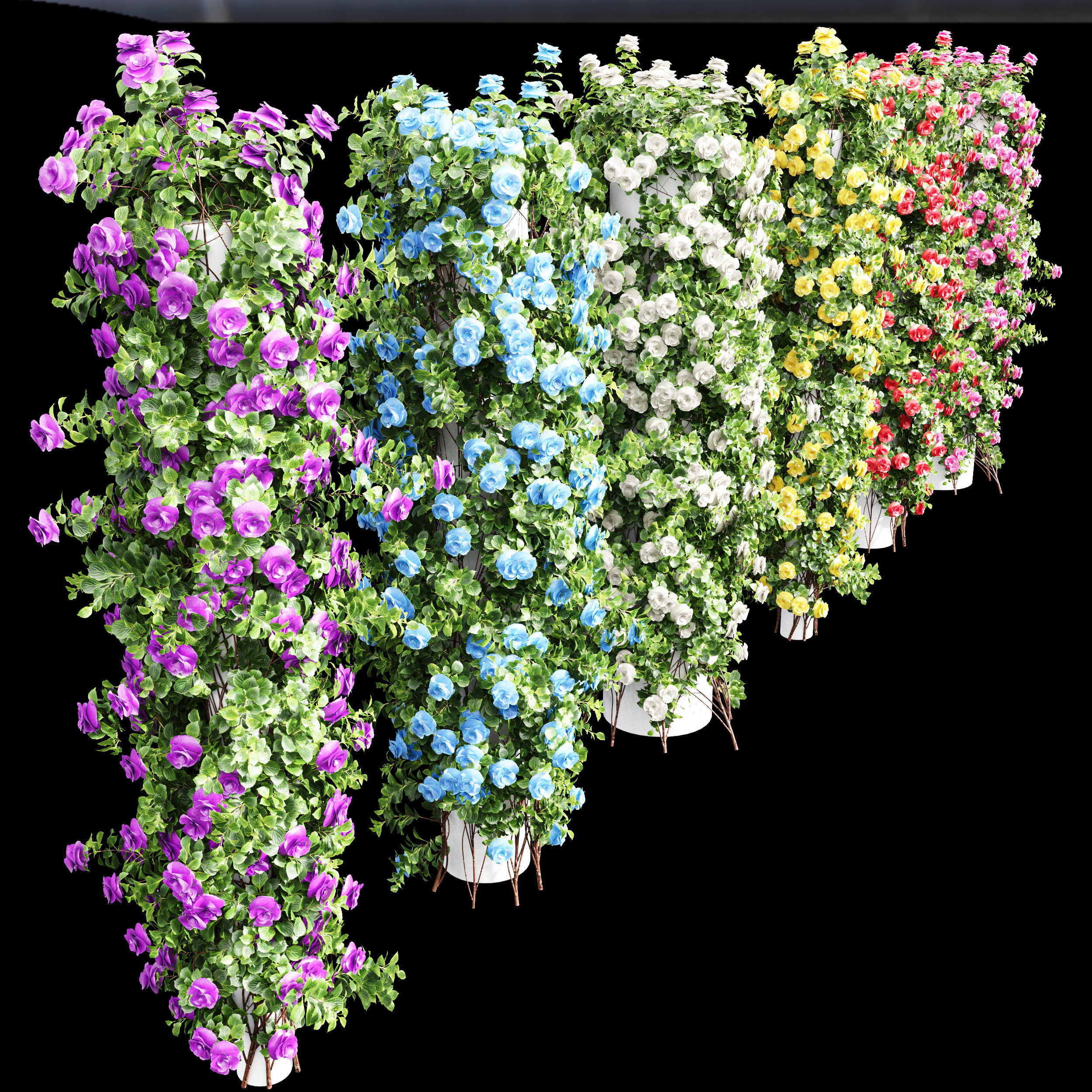 New Plant High detail Climbing Roses Cylinder Columns 3D model_2