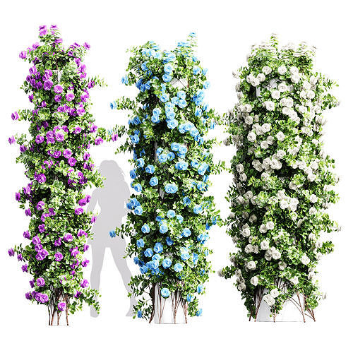 New Plant High detail Climbing Roses Cylinder Columns 3D model