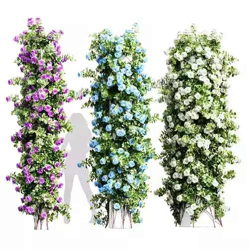New Plant High detail Climbing Roses Cylinder Columns 3D model