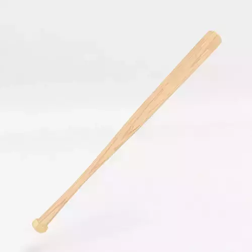 Baseball Bat