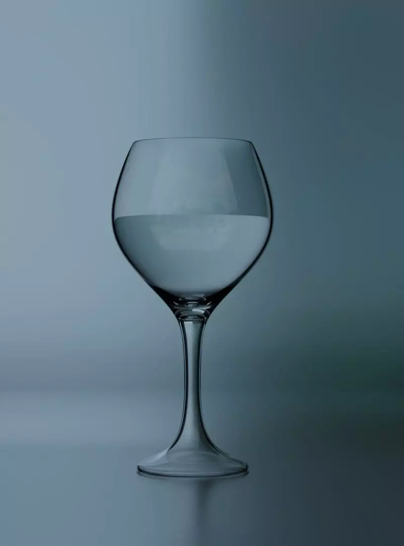Wine Glass 3D model_0