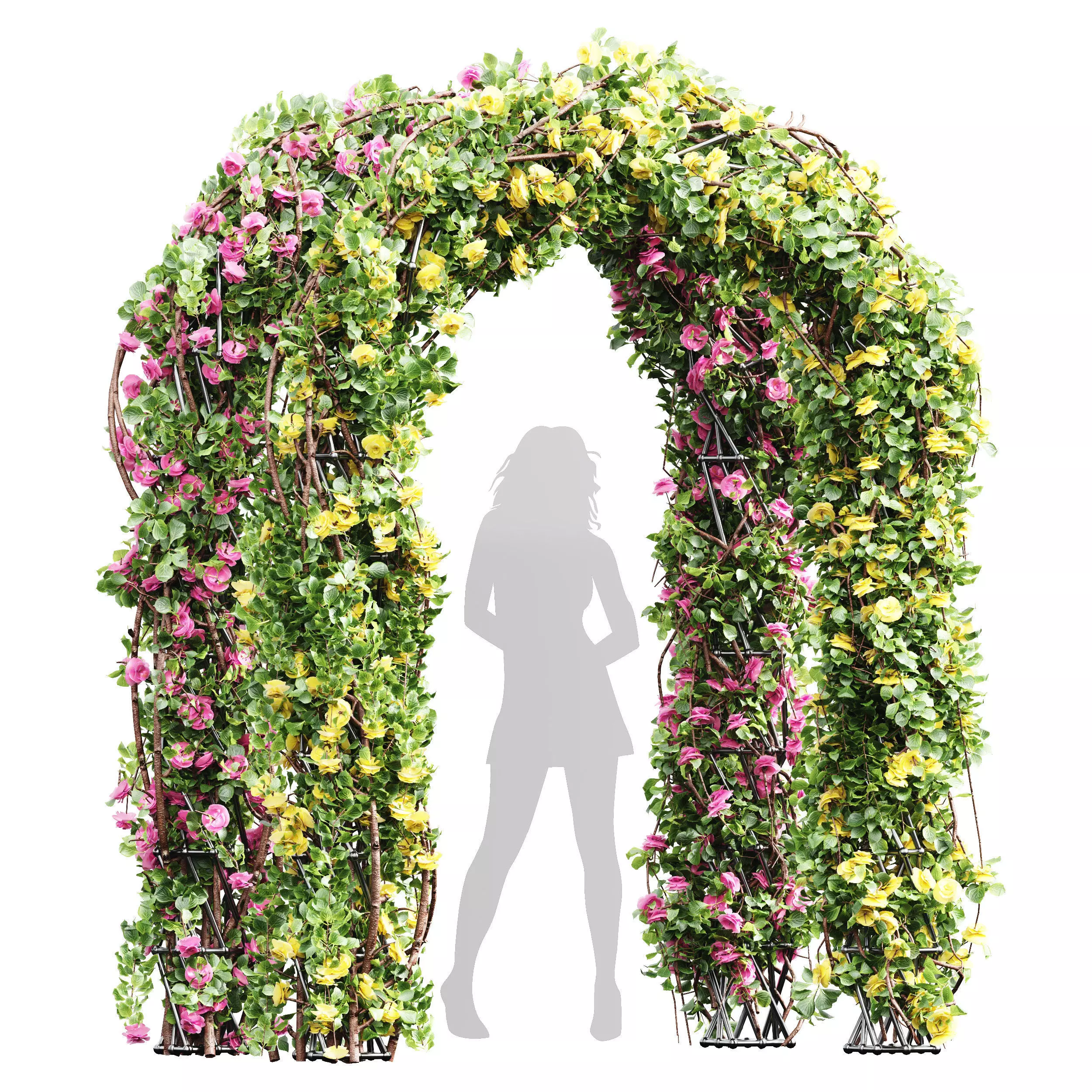 New Plant High detail Climbing Roses Garden Bow02 Grow 3D model_0