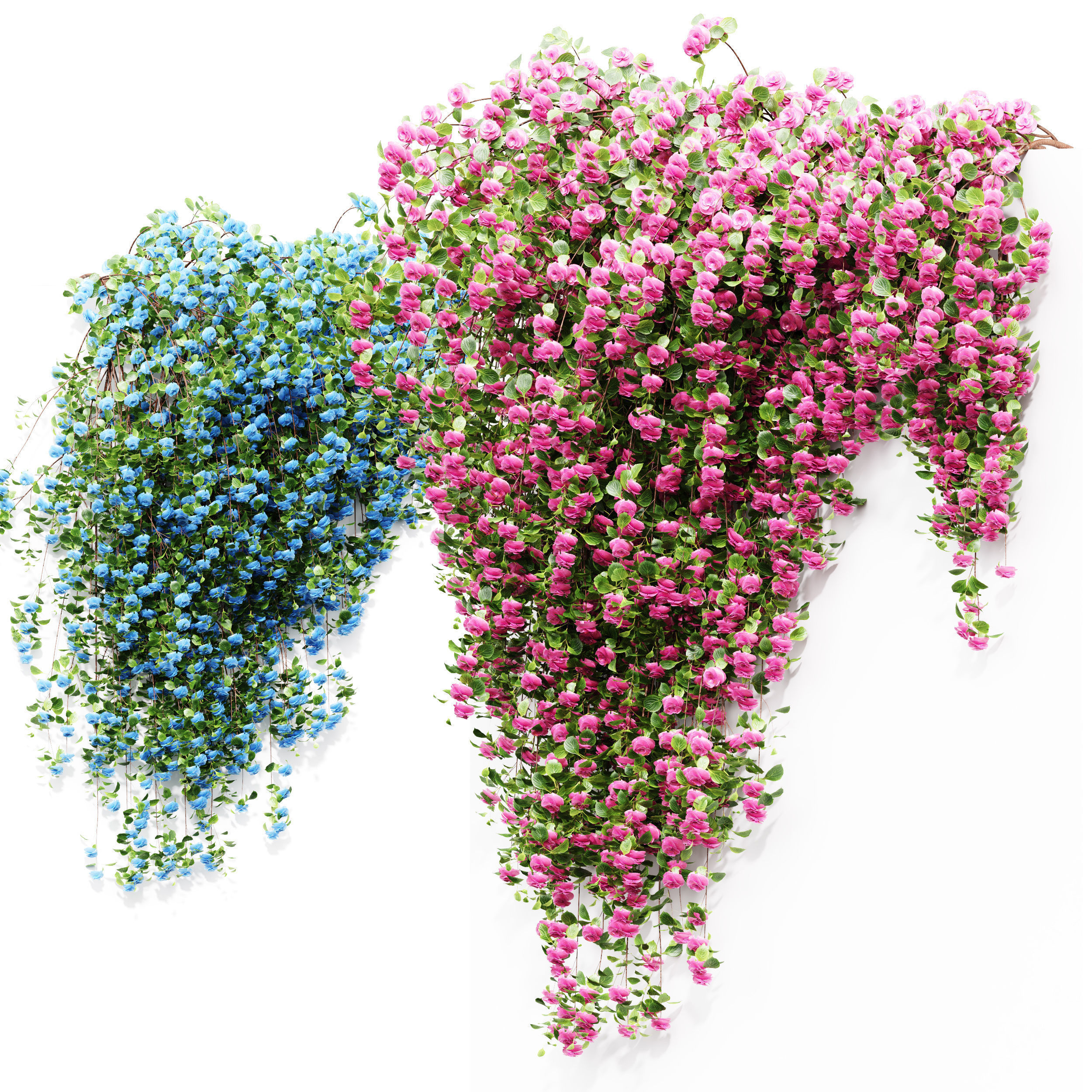 New Plant High detail Climbing Roses Wall Grow Top 3D model_1