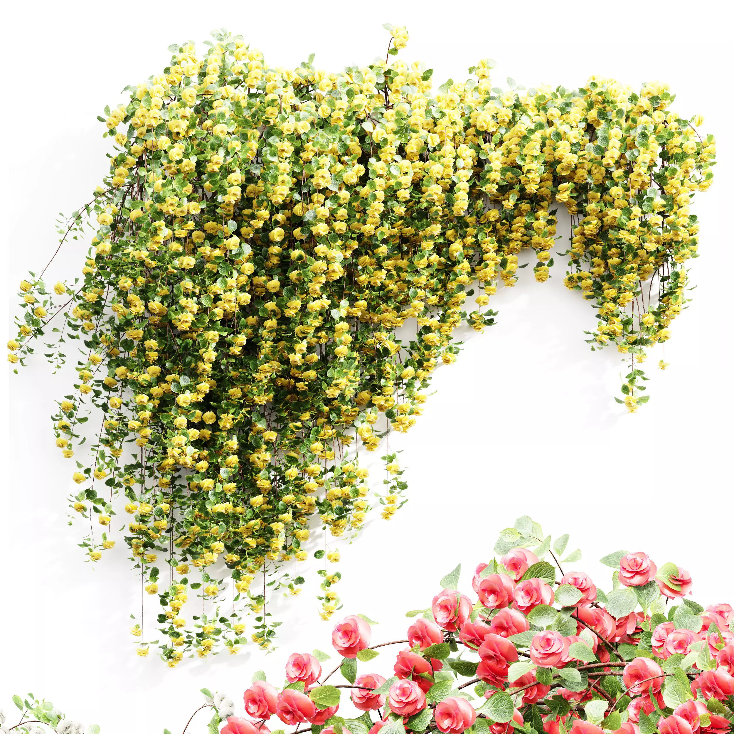 New Plant High detail Climbing Roses Wall Grow Top 3D model_0