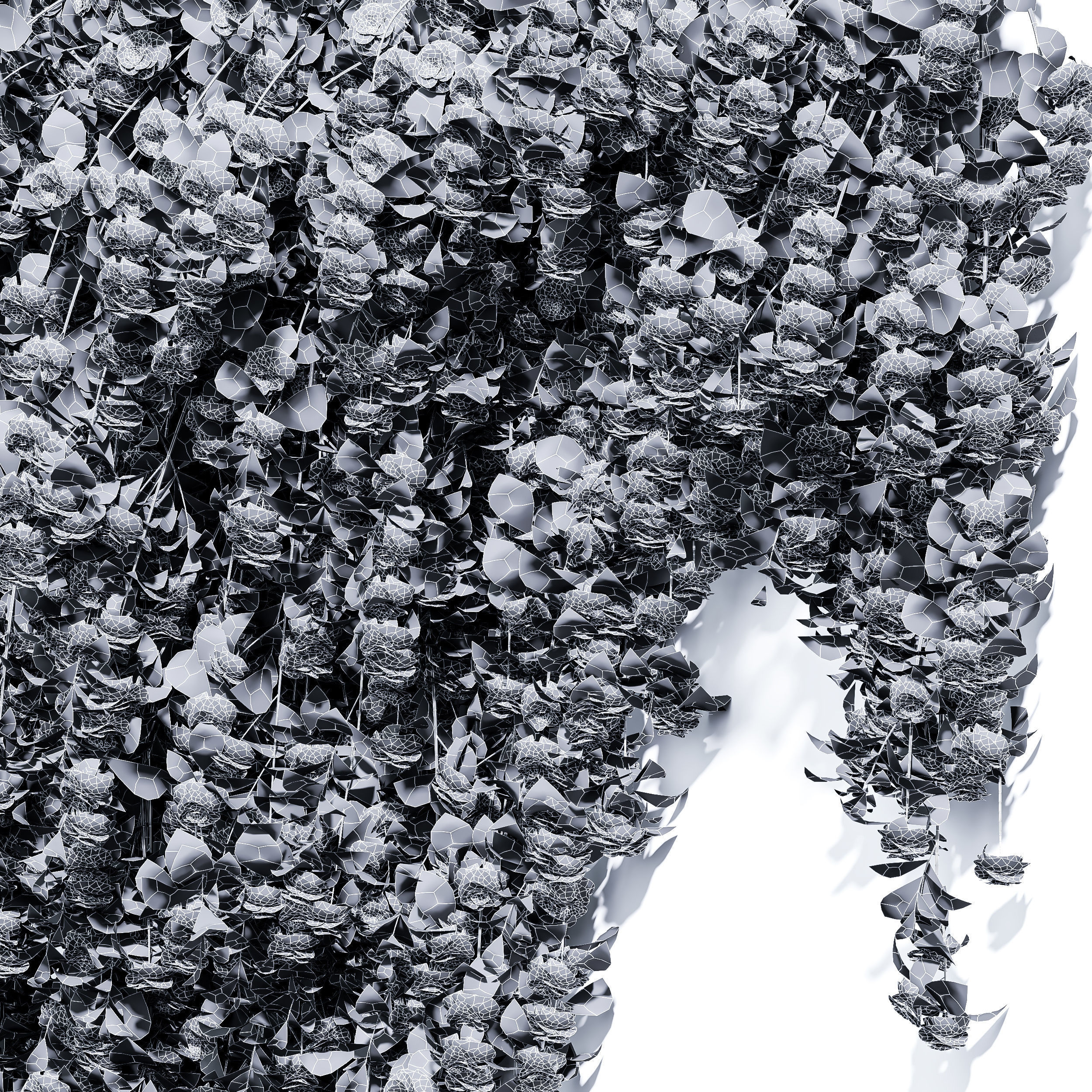 New Plant High detail Climbing Roses Wall Grow Top 3D model_3