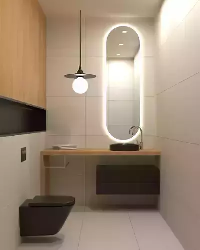 bathroom -2 modern with toilet and sink