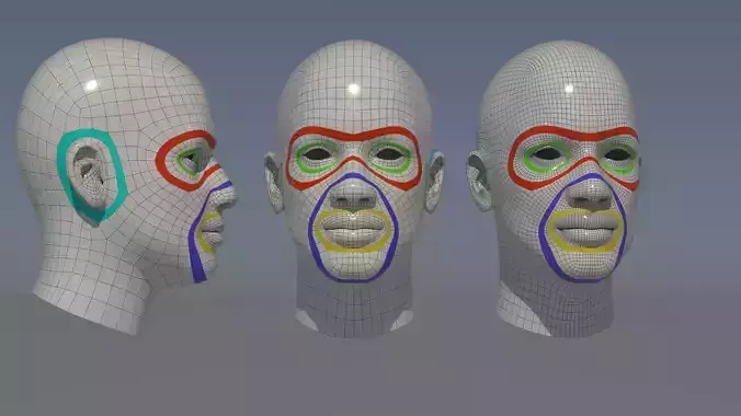3D Base Male Head