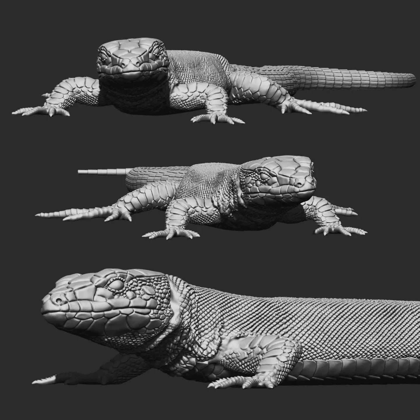 Wall lizard realistic model 3D print model_0