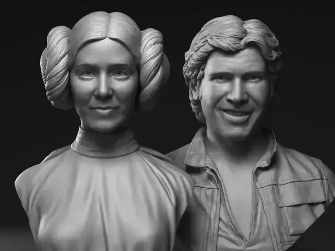Leia and Han Solo 3d printable bust collection 