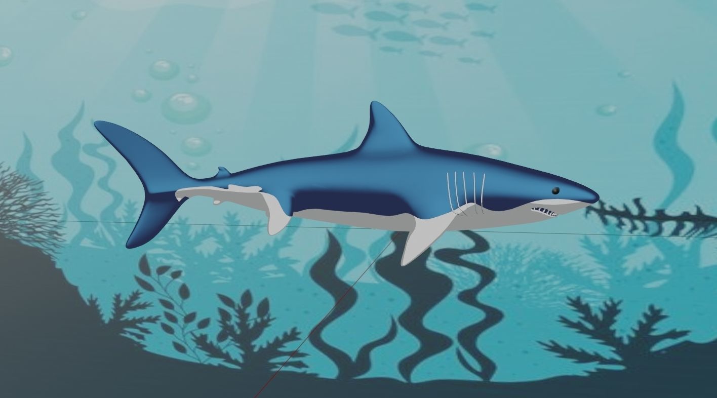 Shark swimming in ocean 3D model_4