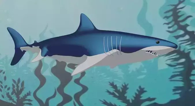 Shark swimming in ocean 3D model