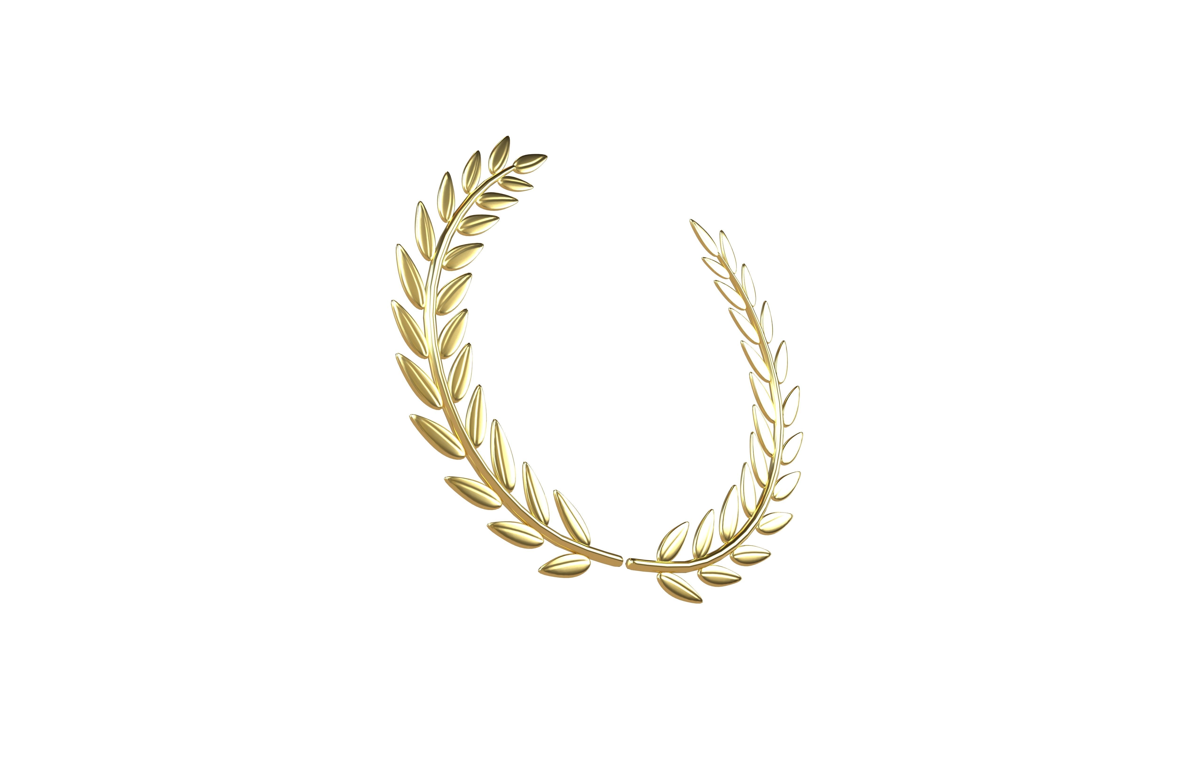 Laurel Wreath v1 001 Low-poly 3D model_3