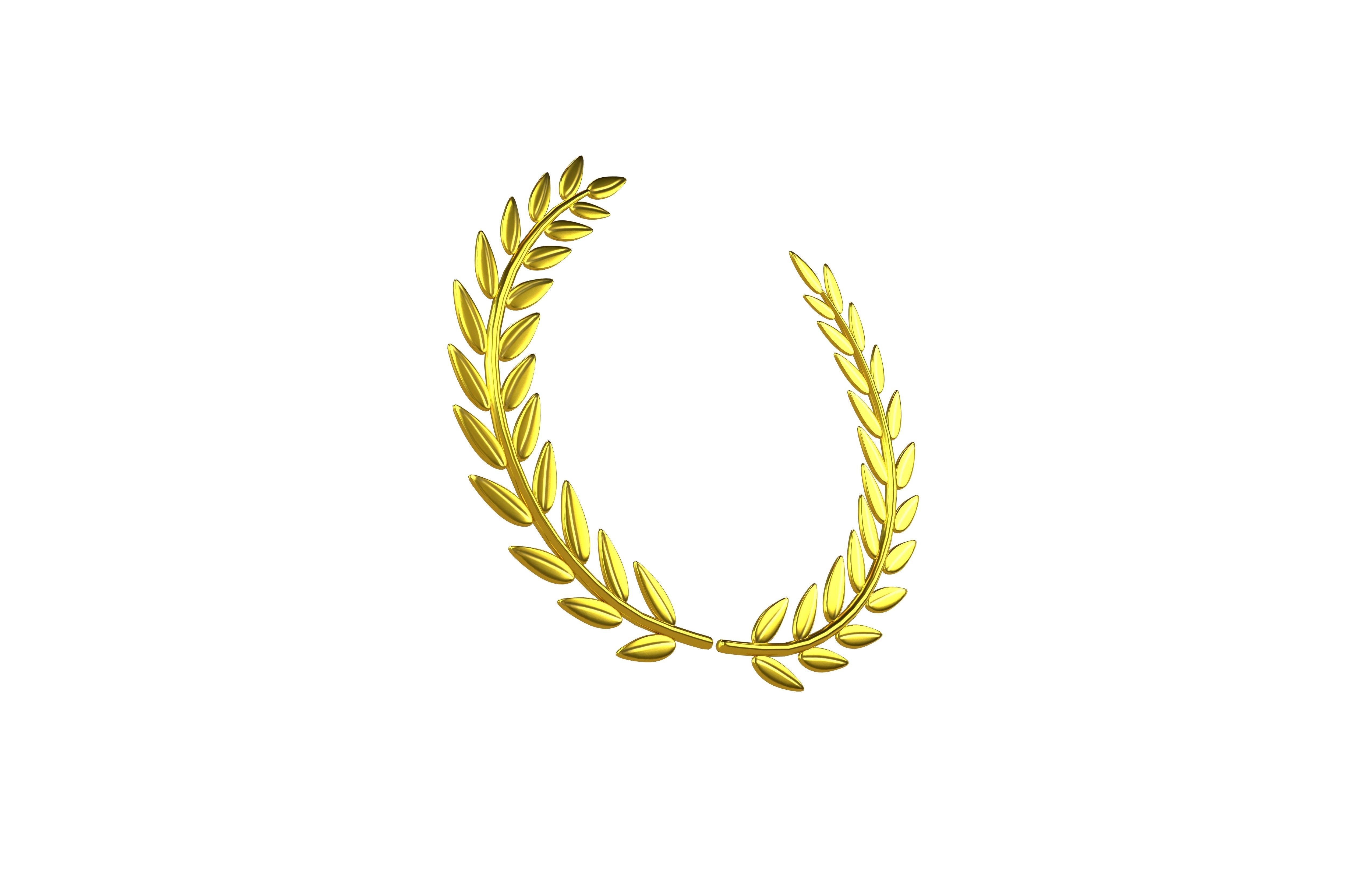 Laurel Wreath v1 002 Low-poly 3D model_3