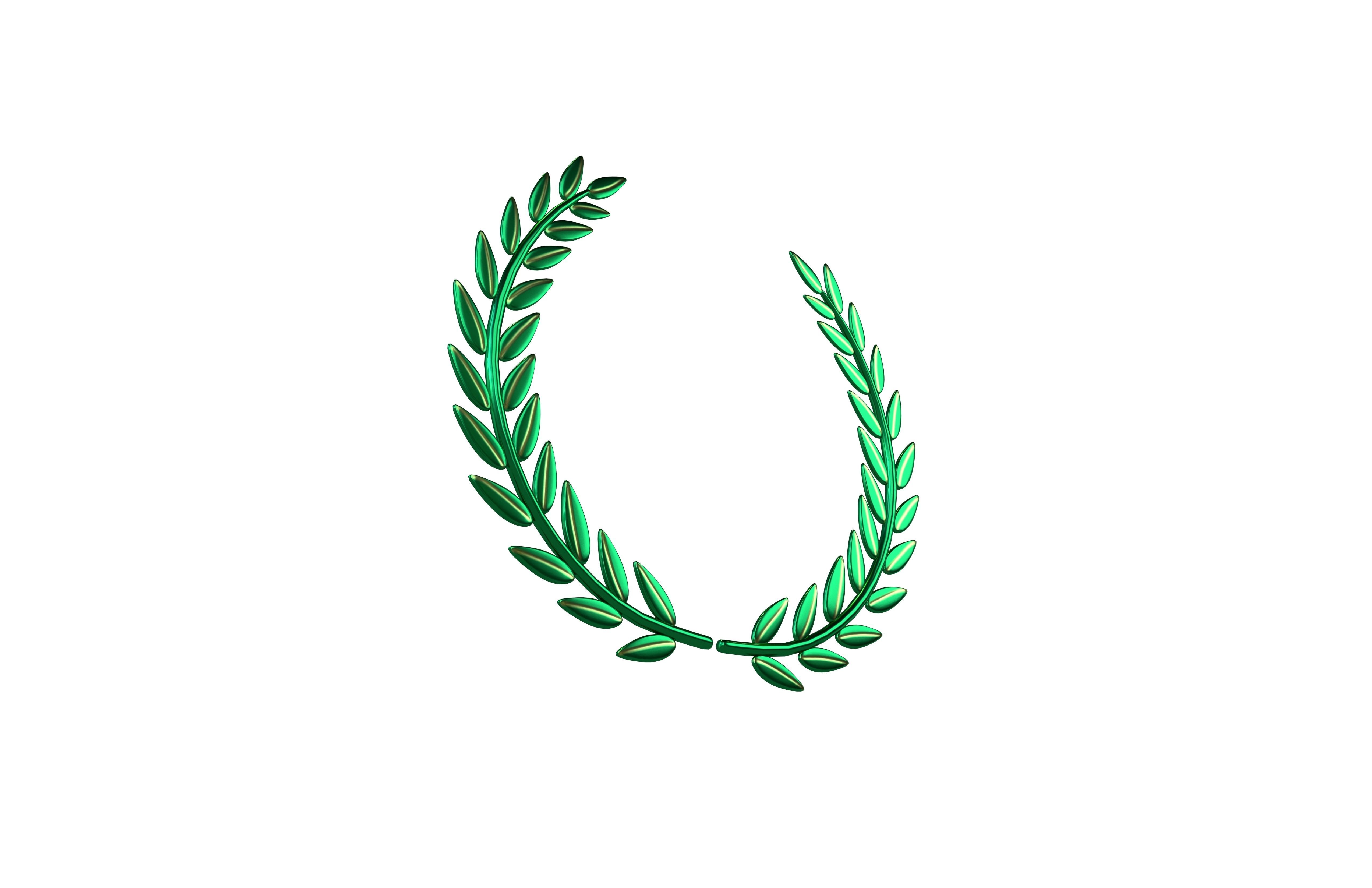 Laurel Wreath v1 005 Low-poly 3D model_2