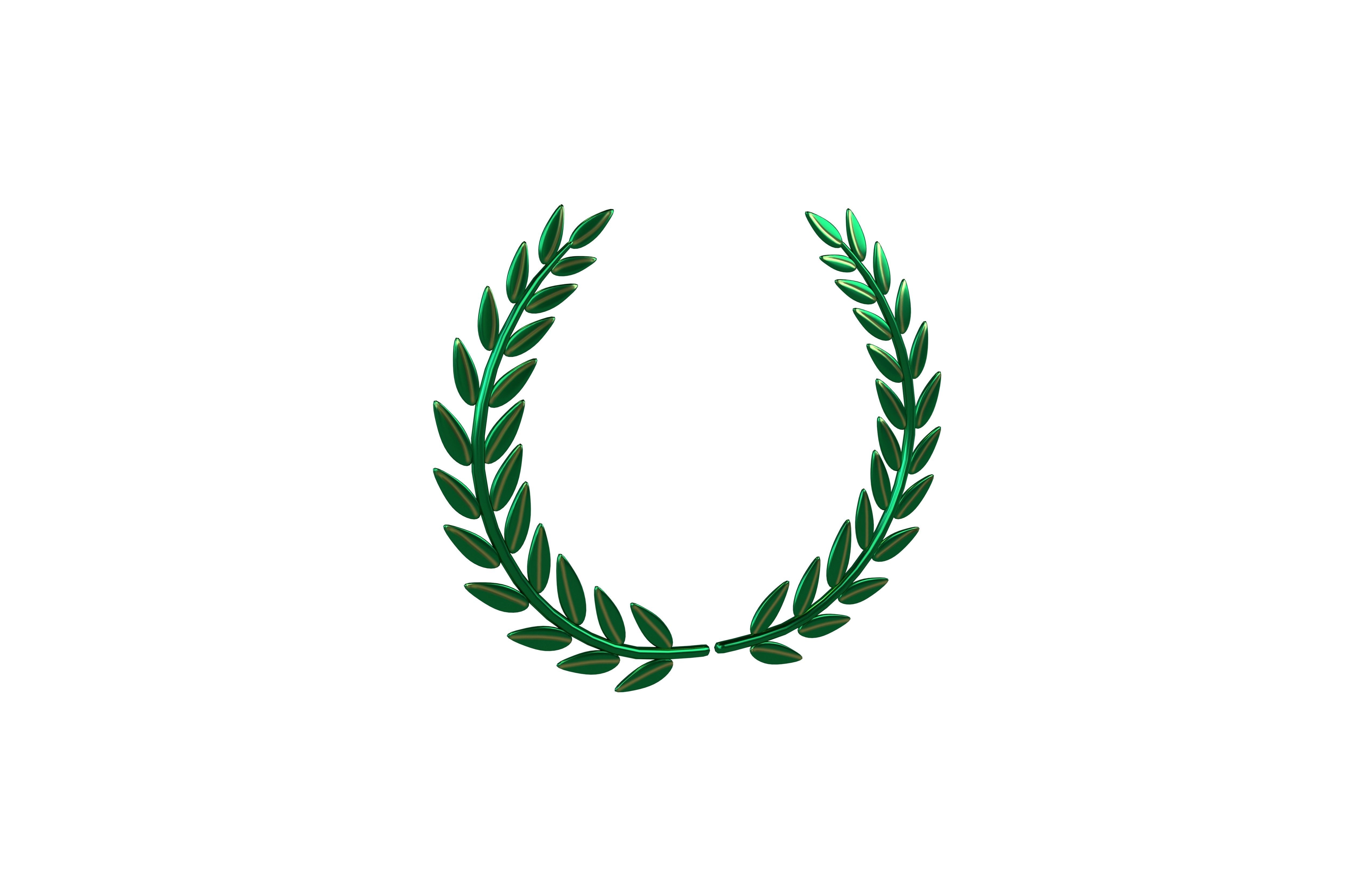 Laurel Wreath v1 005 Low-poly 3D model_1