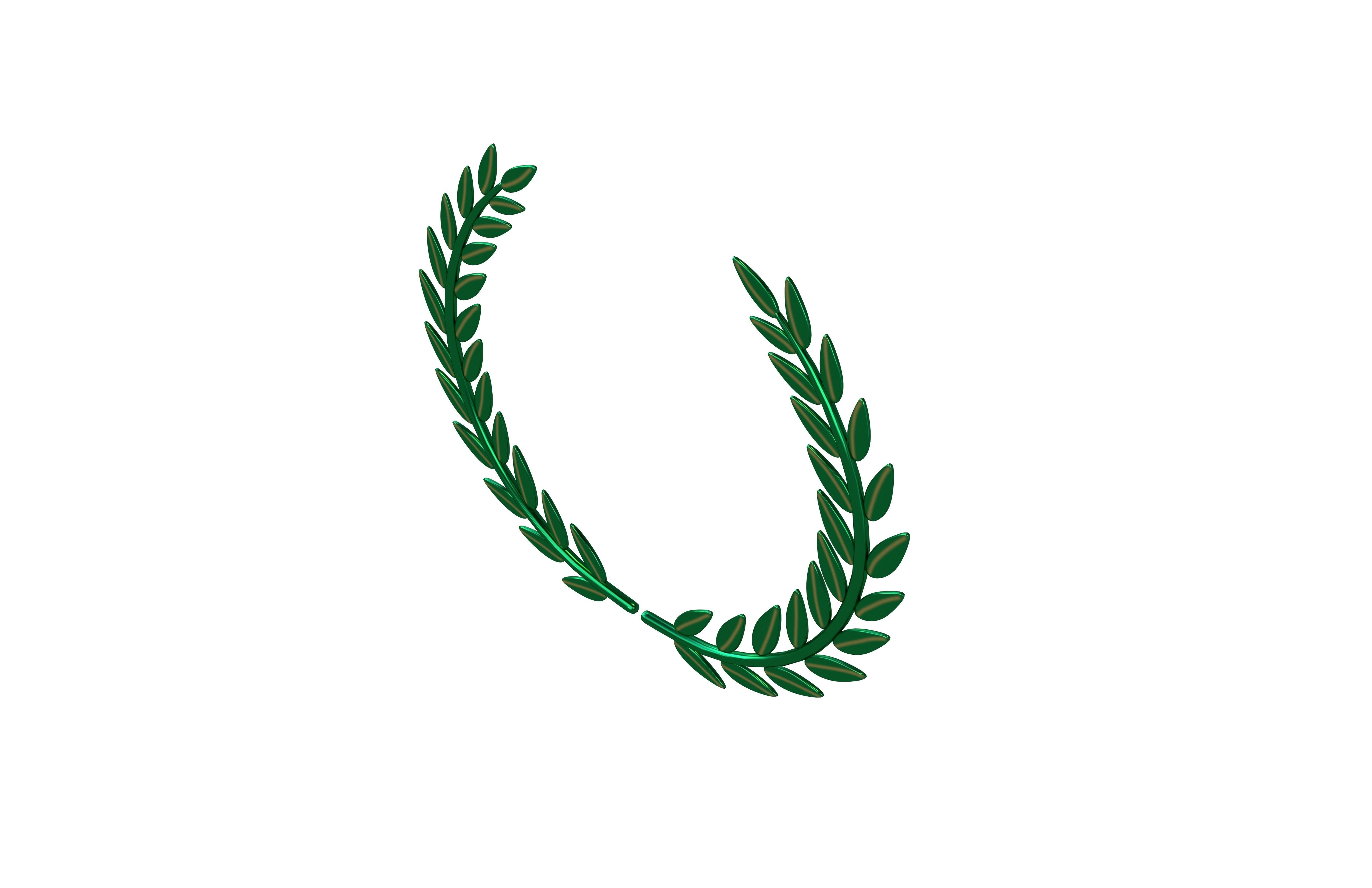 Laurel Wreath v1 005 Low-poly 3D model_3
