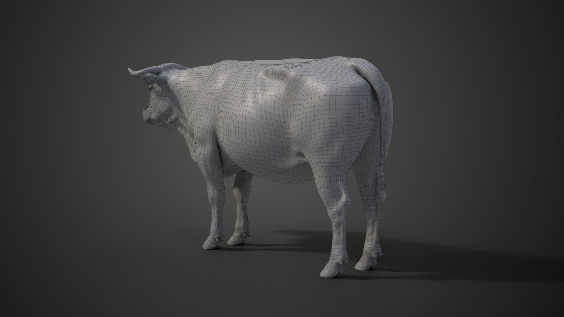 Cattle Cow Animated VFX Grace 3D model_35