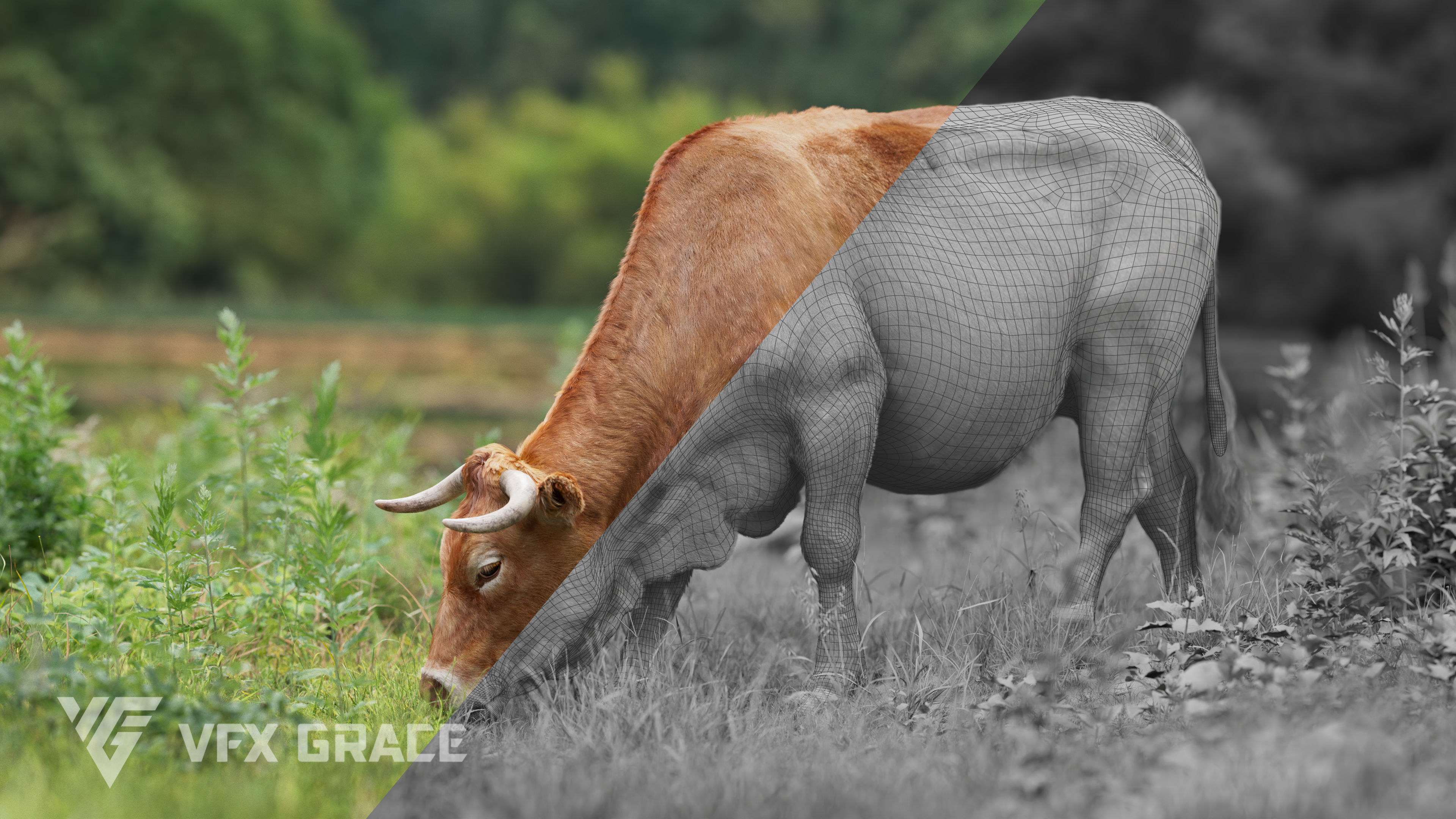 Cattle Cow Animated VFX Grace 3D model_14