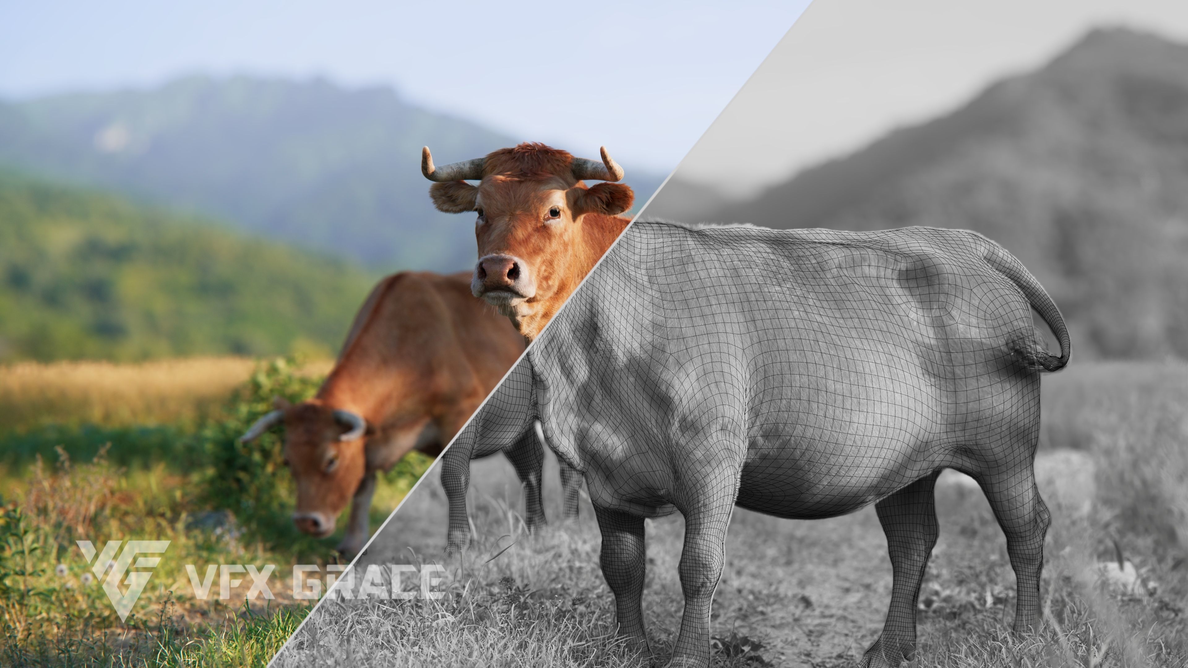 Cattle Cow Animated VFX Grace 3D model_10
