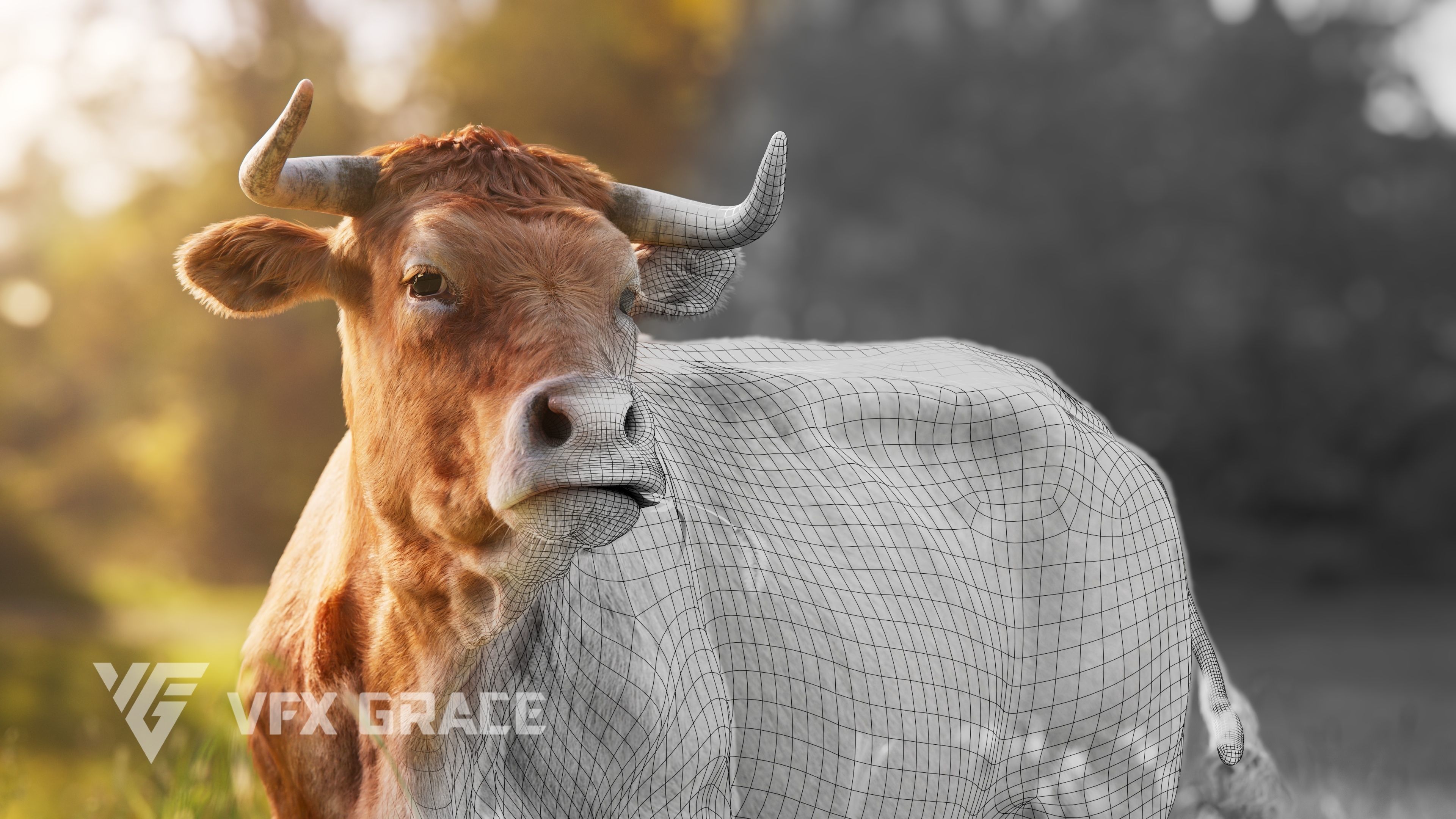 Cattle Cow Animated VFX Grace 3D model_8