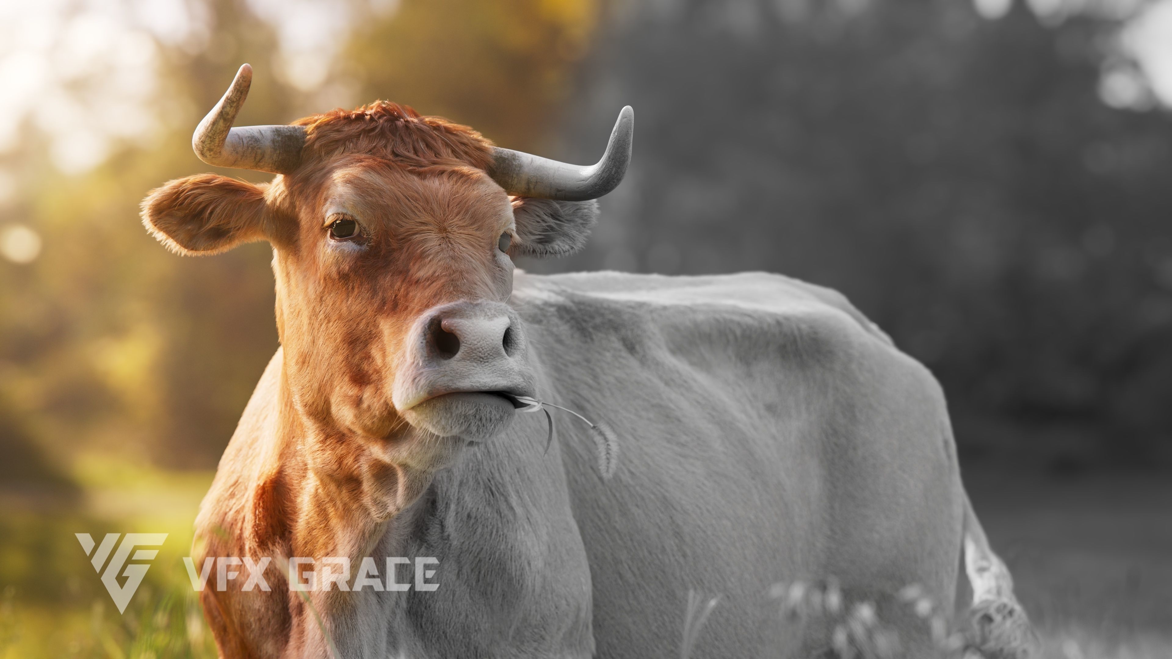 Cattle Cow Animated VFX Grace 3D model_7