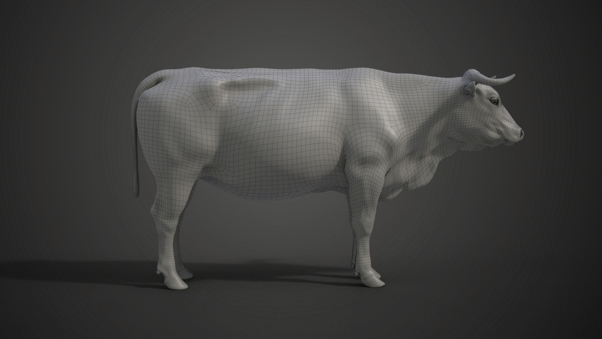 Cattle Cow Animated VFX Grace 3D model_34