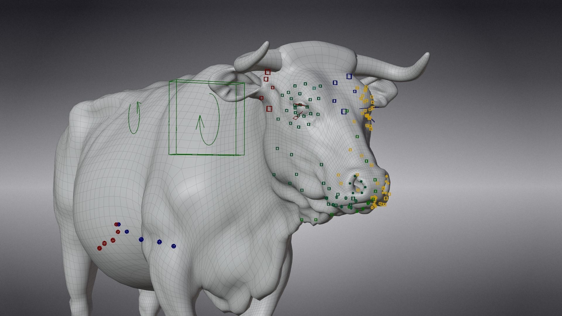 Cattle Cow Animated VFX Grace 3D model_28