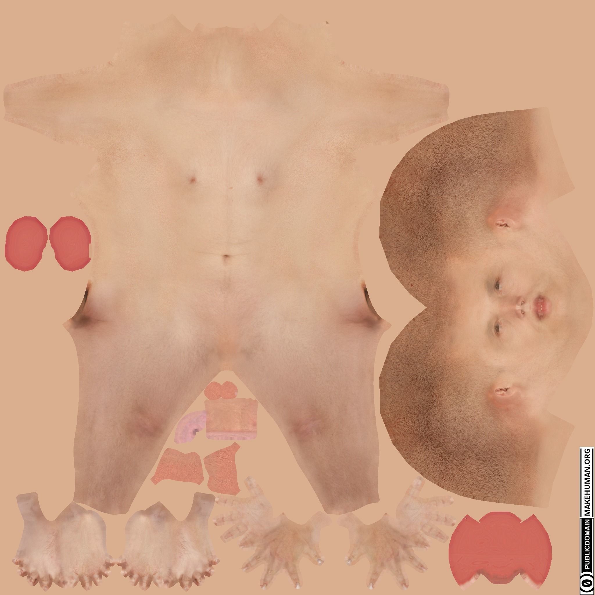 Big Head Titan Free 3D model_2