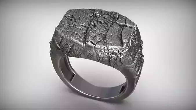 Grunge Stone Rock Crack Silver Men Signet 3D print model