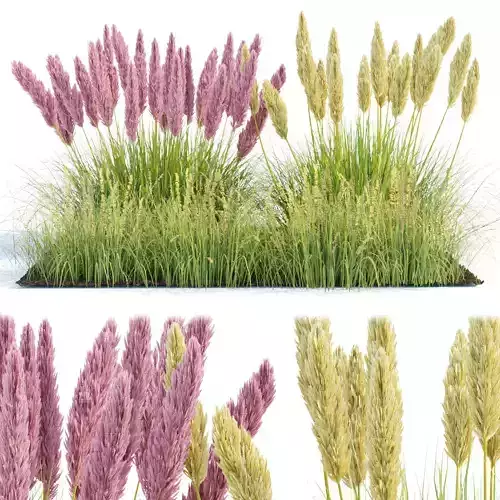 outdoor plants collection vol 80