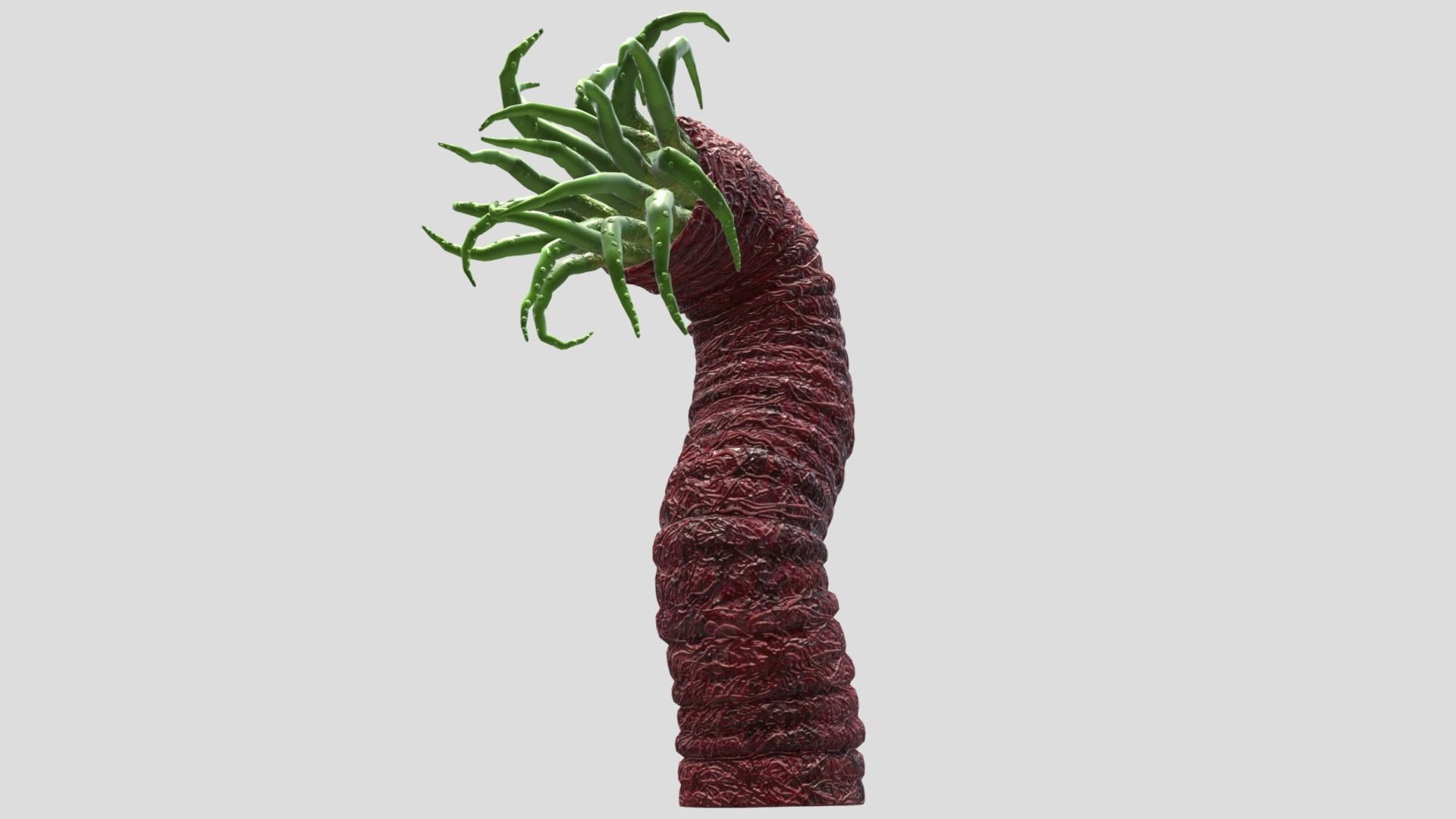 Beast tentacle 3D model_13