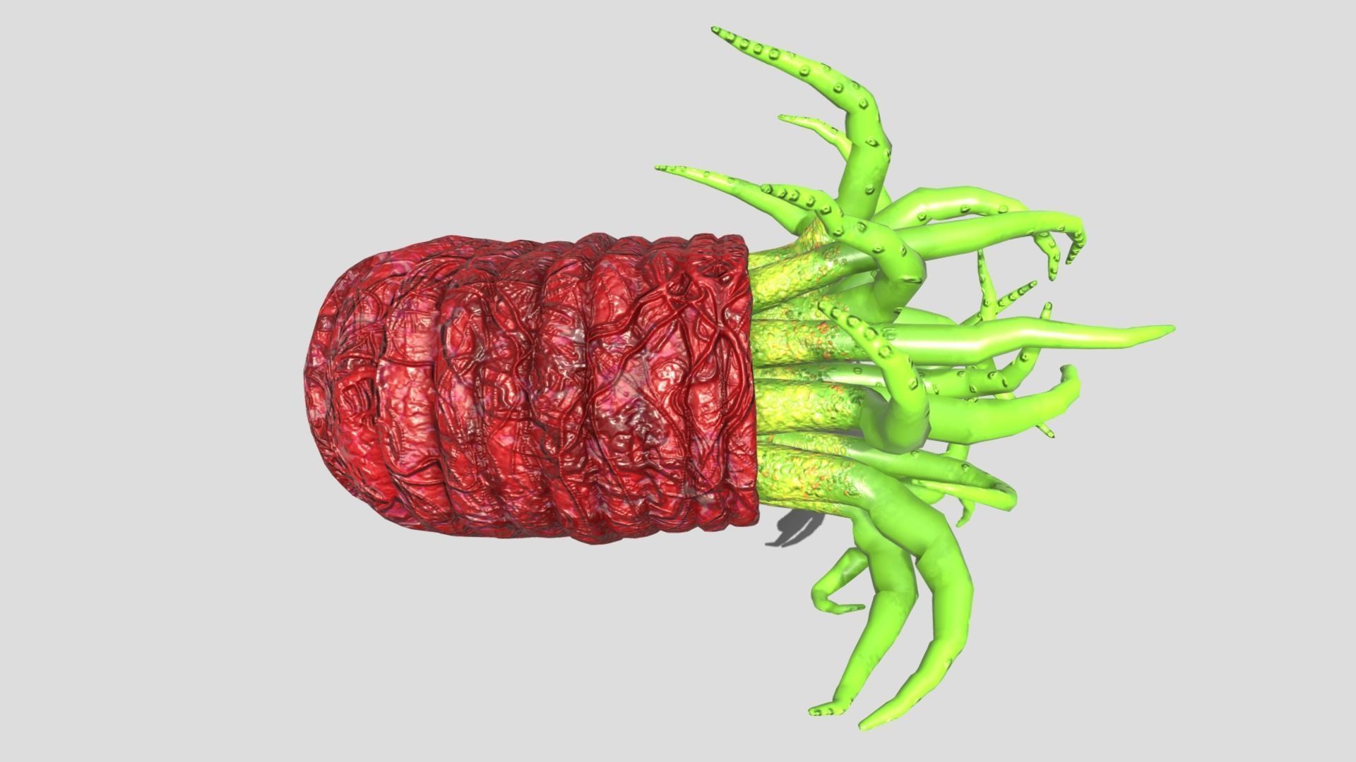 Beast tentacle 3D model_18