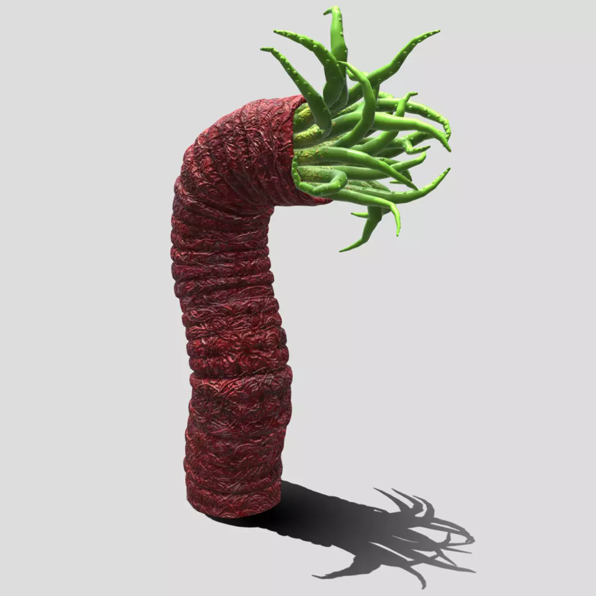 Beast tentacle 3D model_0