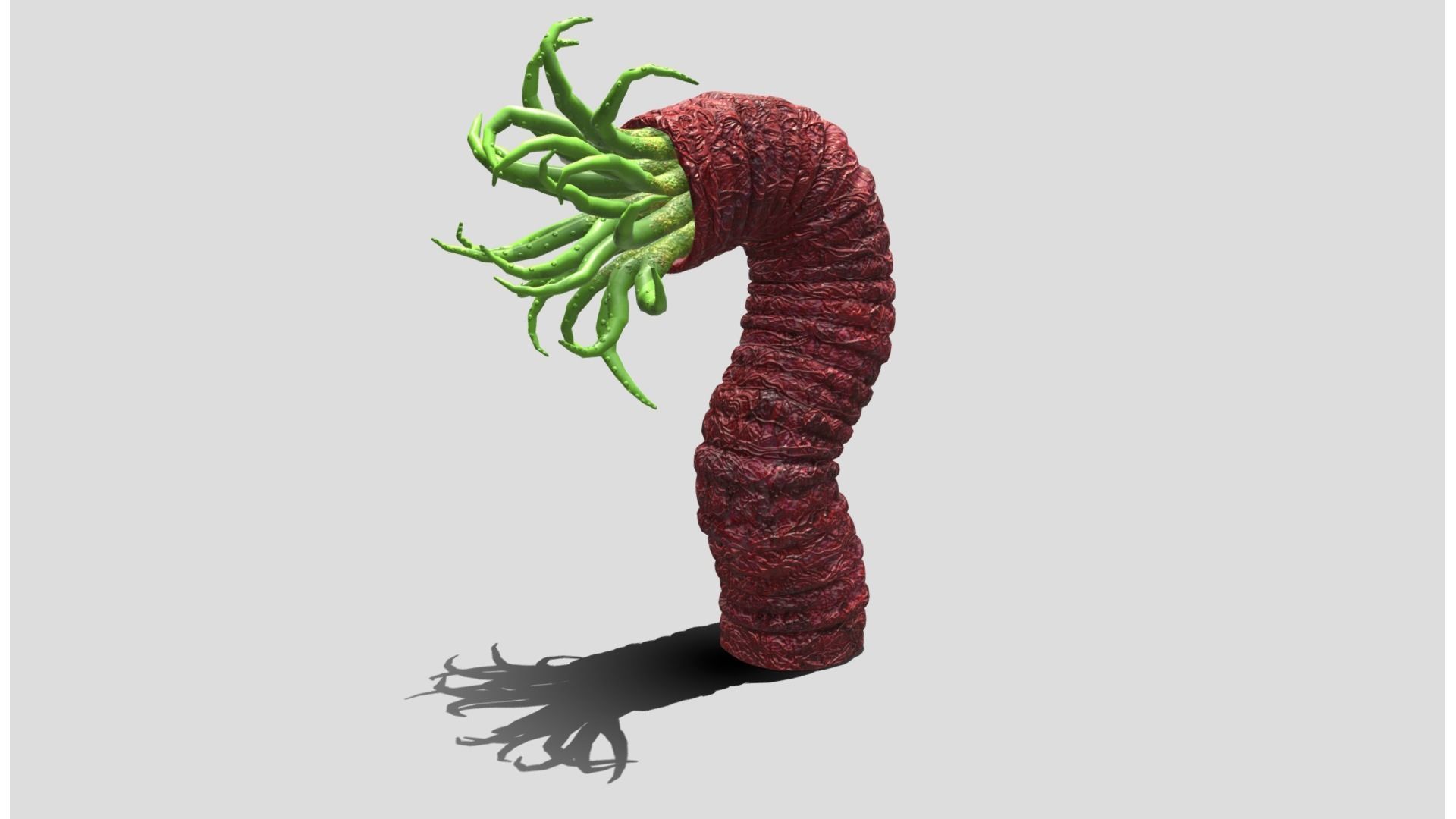Beast tentacle 3D model_2