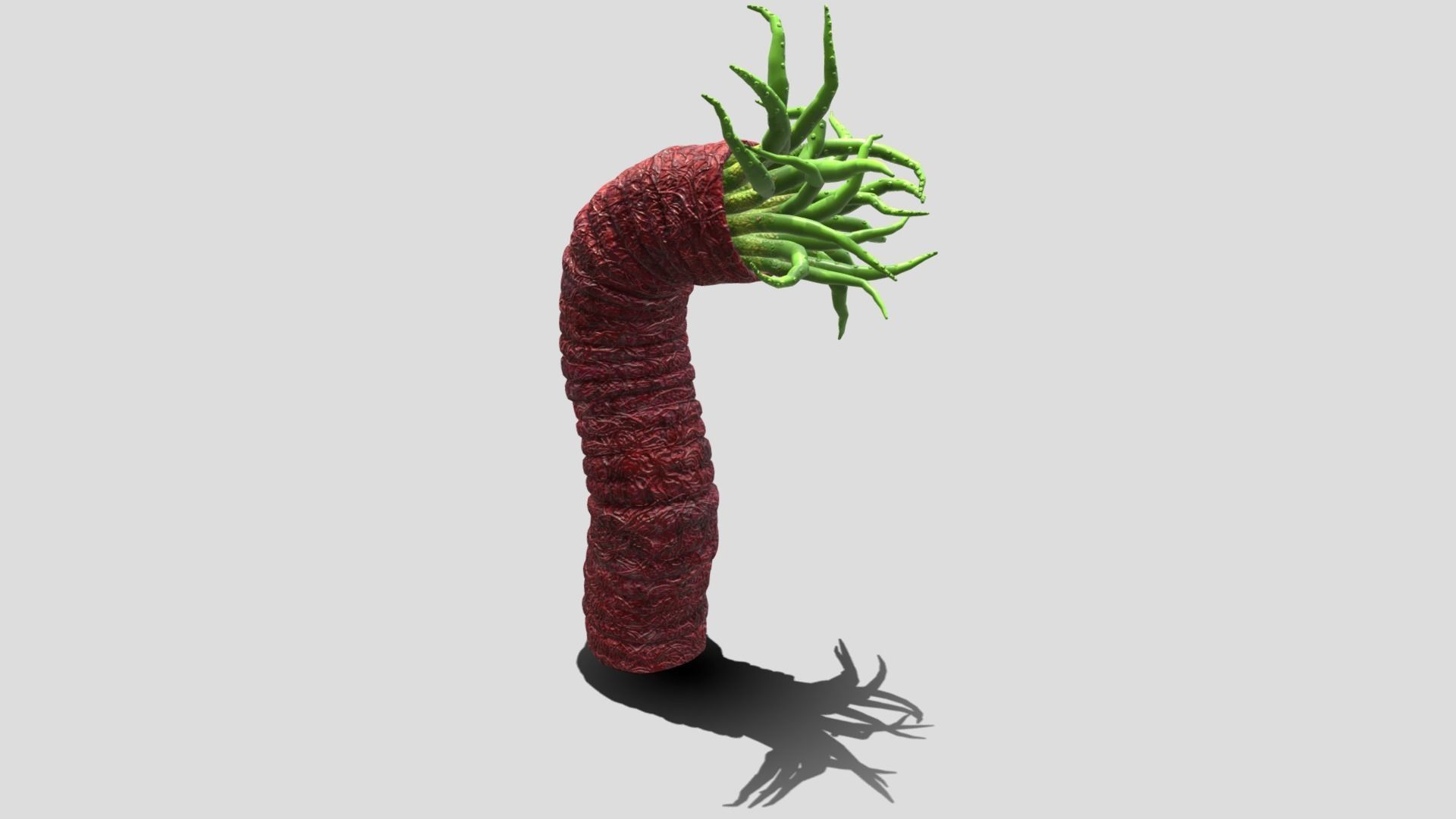 Beast tentacle 3D model_15