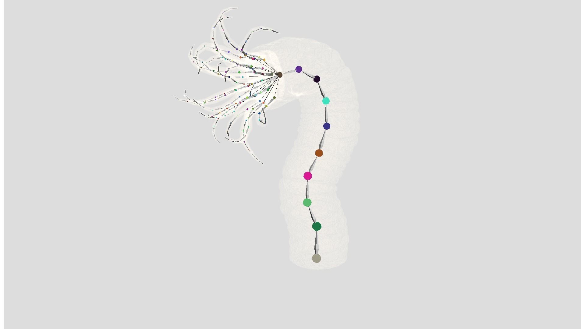 Beast tentacle 3D model_6