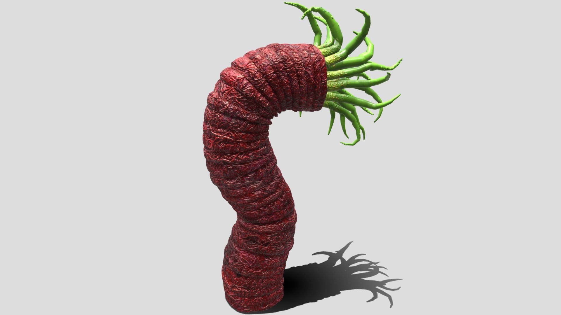 Beast tentacle 3D model_12