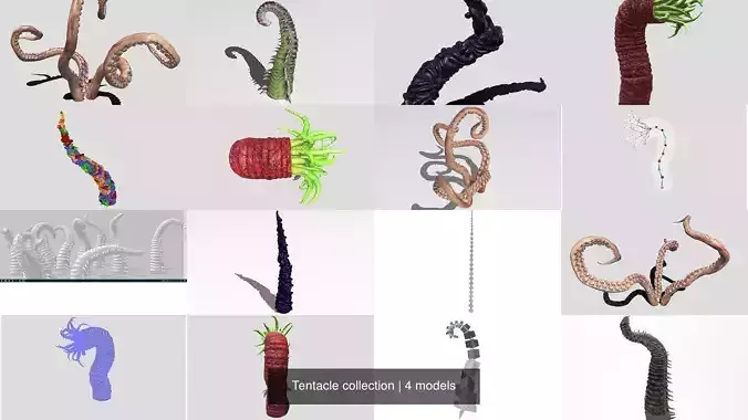 Tentacle collection sea creature 