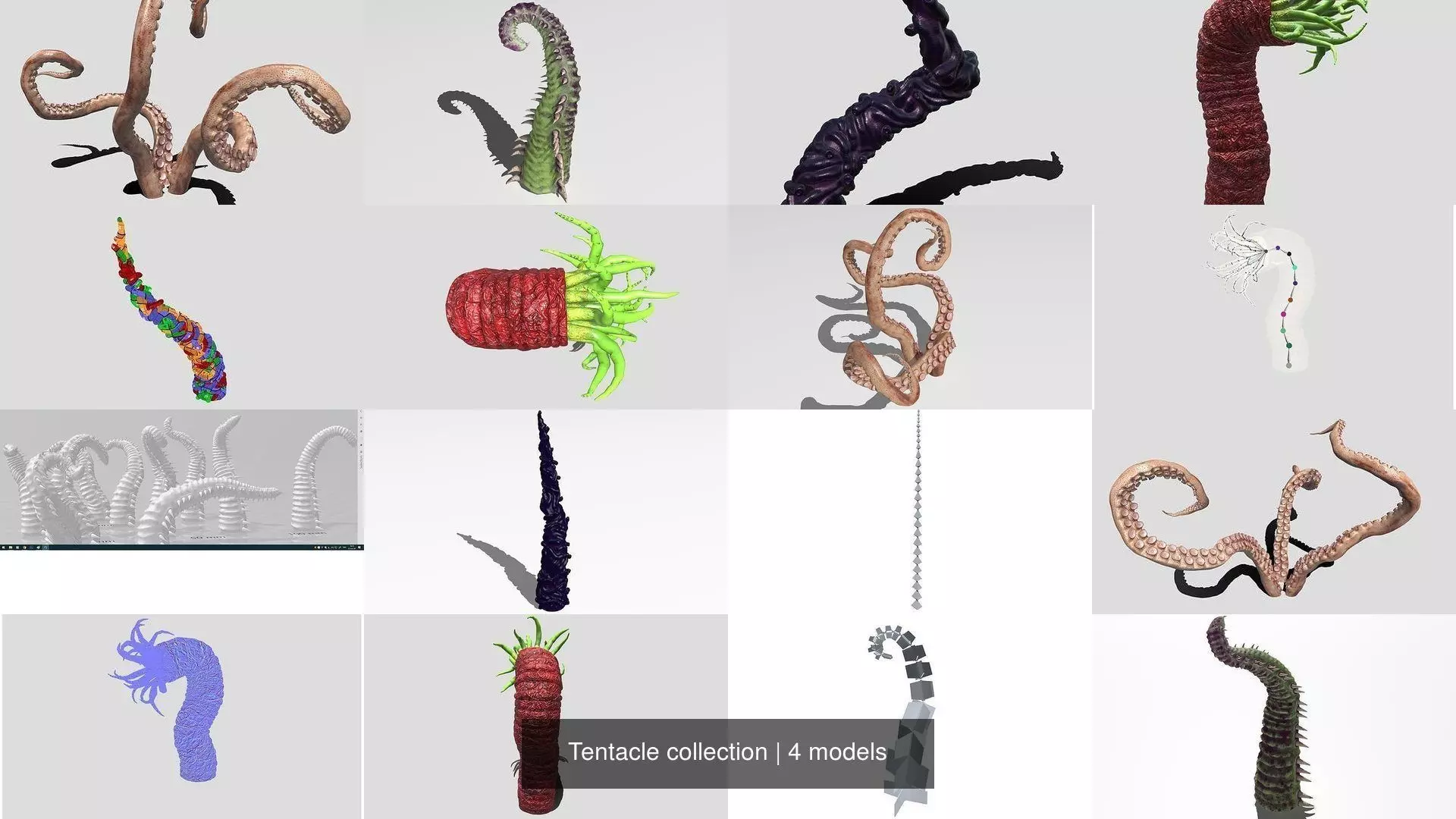 Tentacle collection sea creature _0