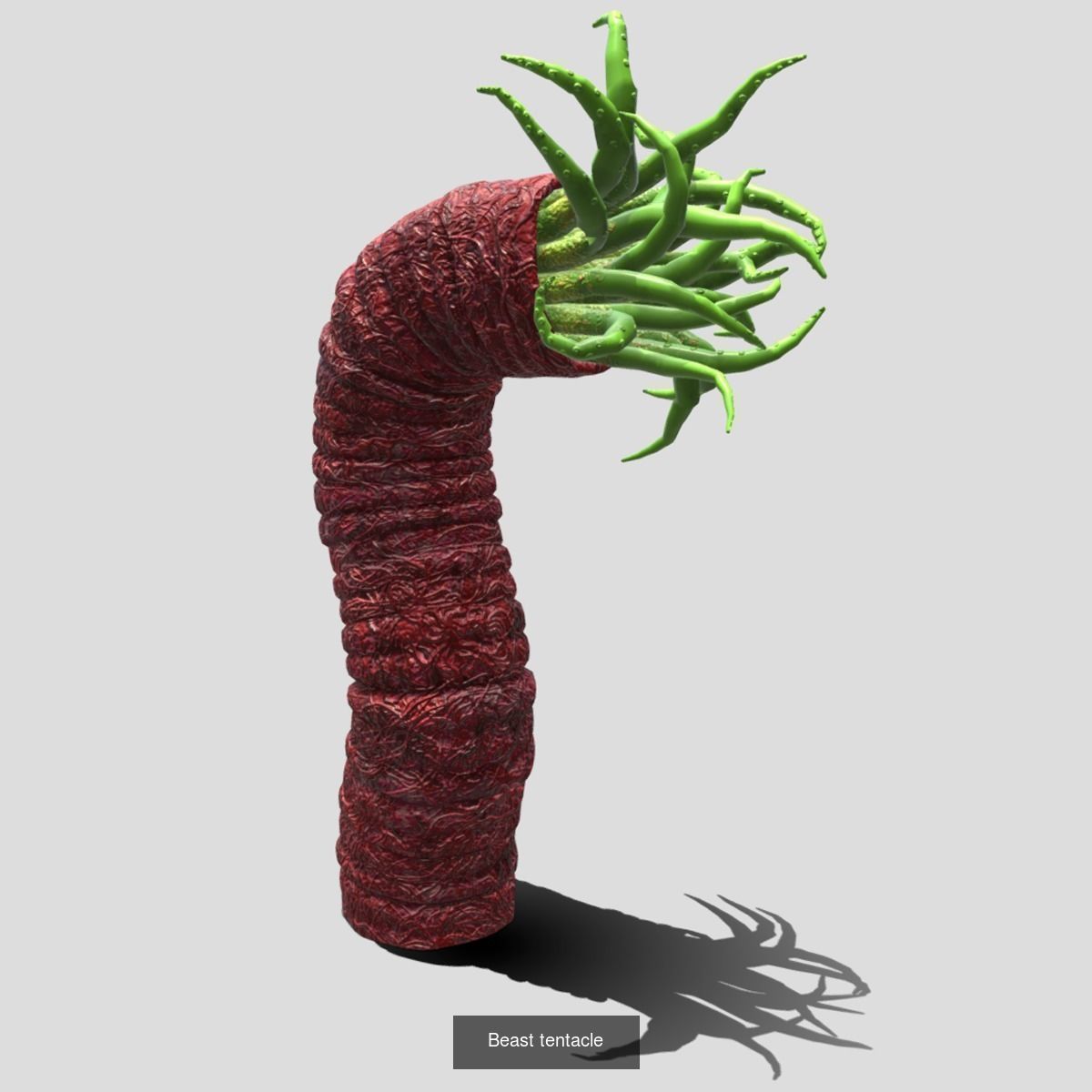 Tentacle collection sea creature _18