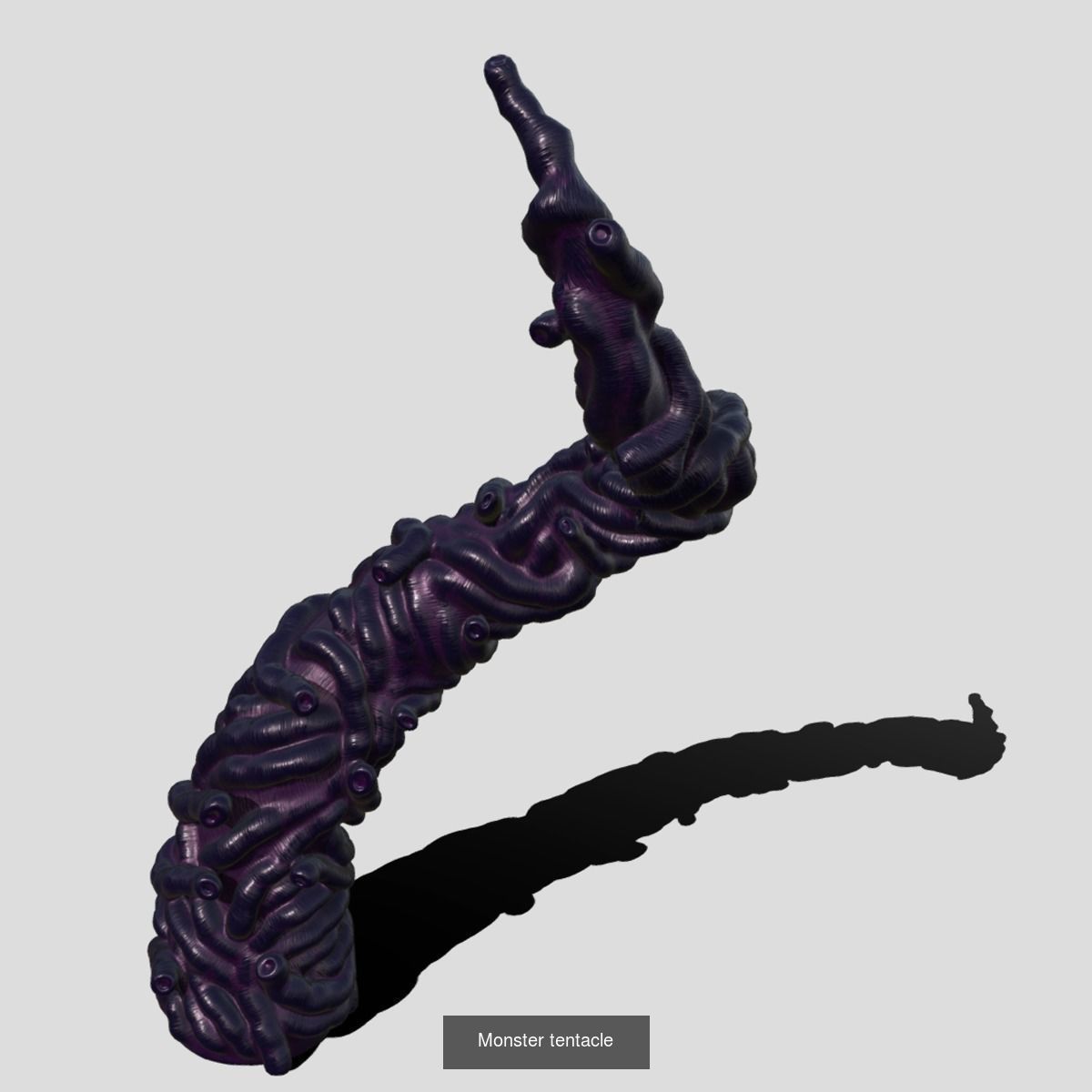 Tentacle collection sea creature _14