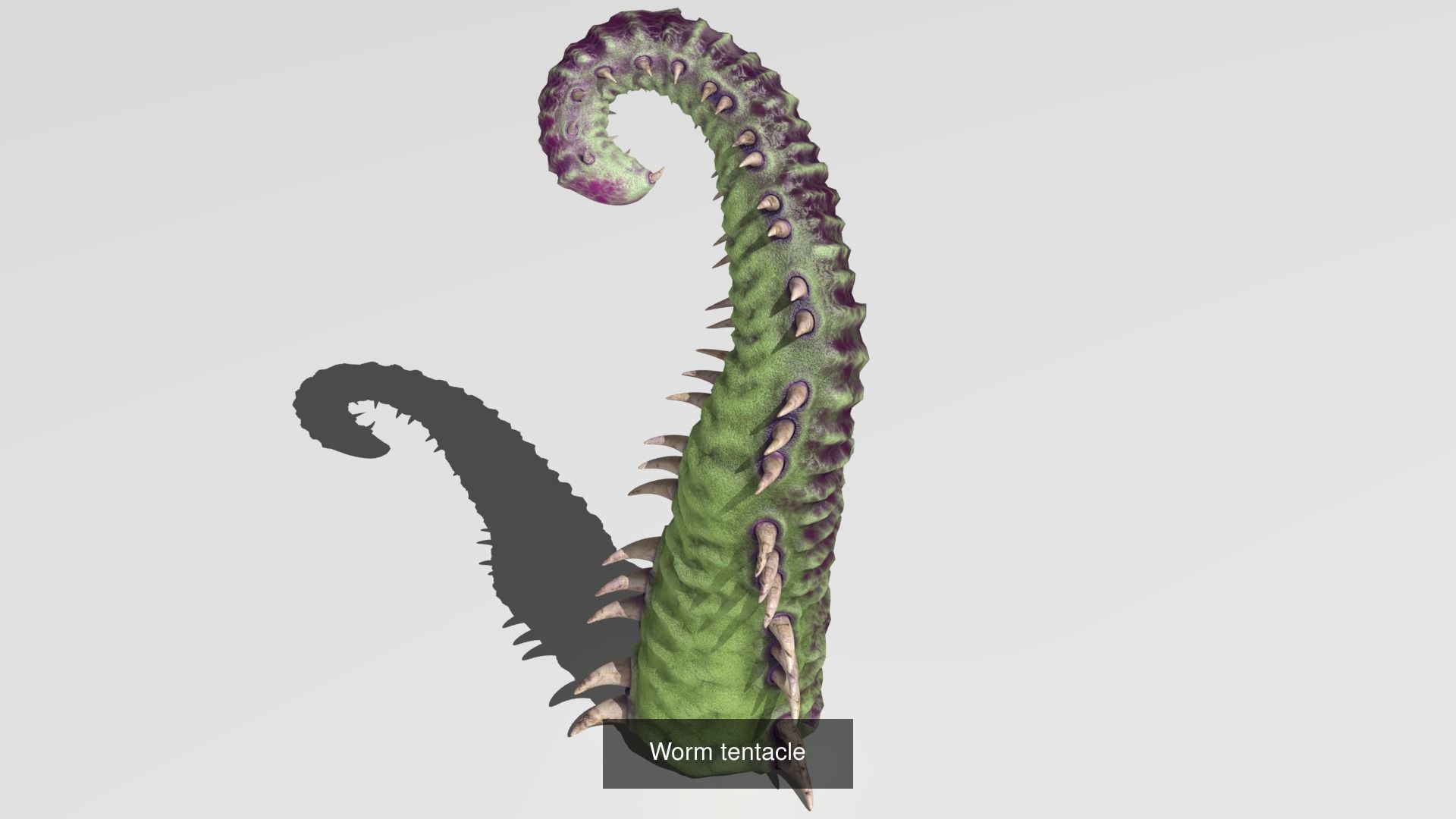 Tentacle collection sea creature _8