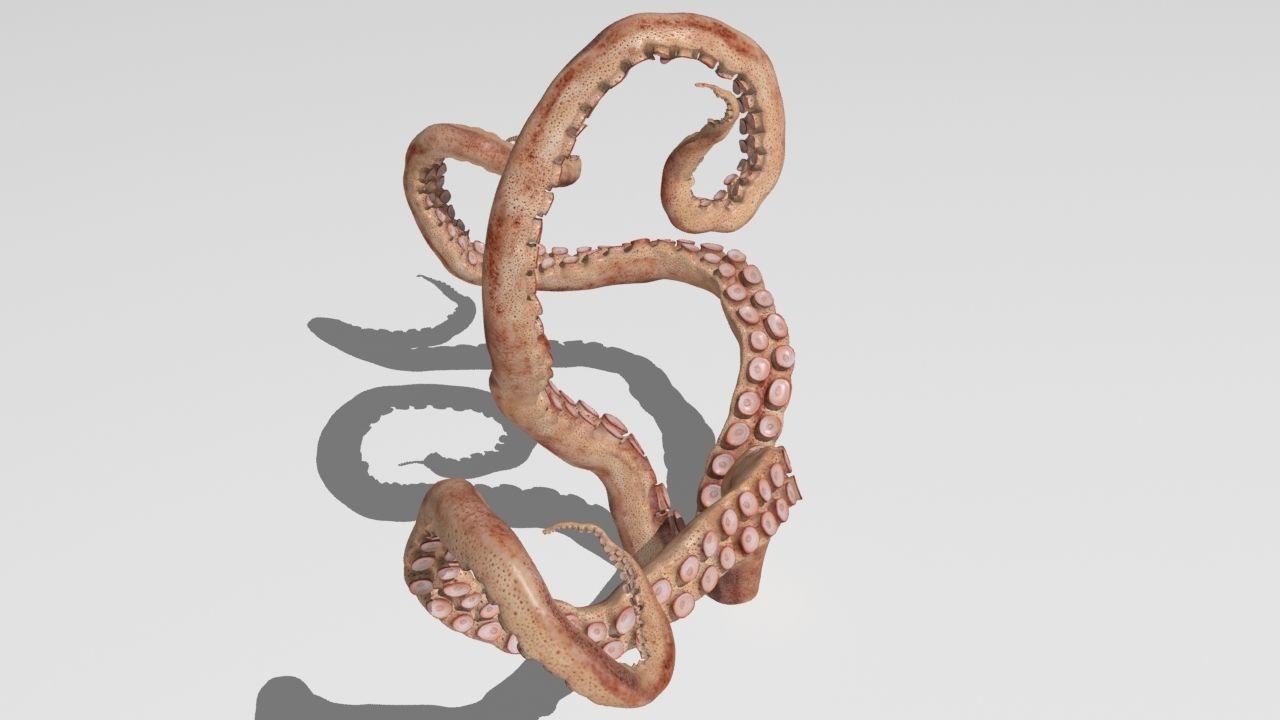 Tentacle collection sea creature _9