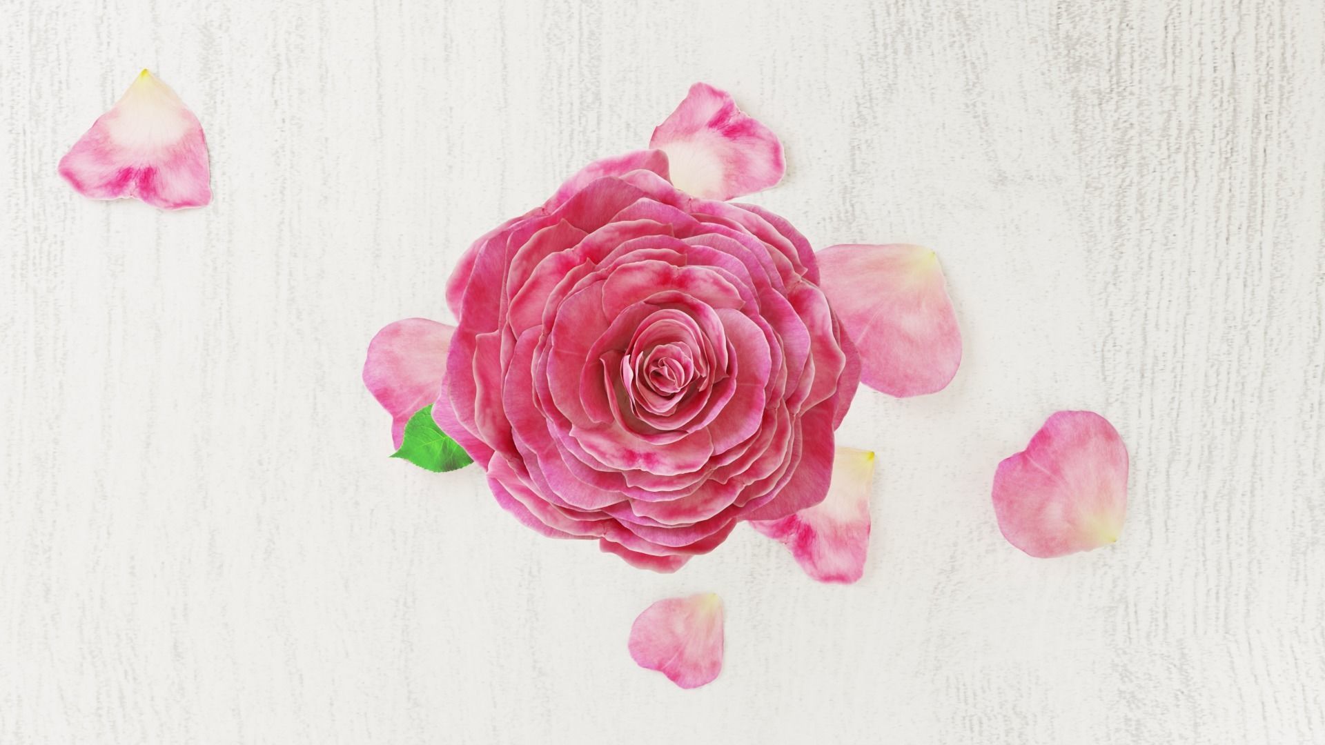 Pink Rose in a Crystal Vase 3D Model  Low-poly 3D model_4