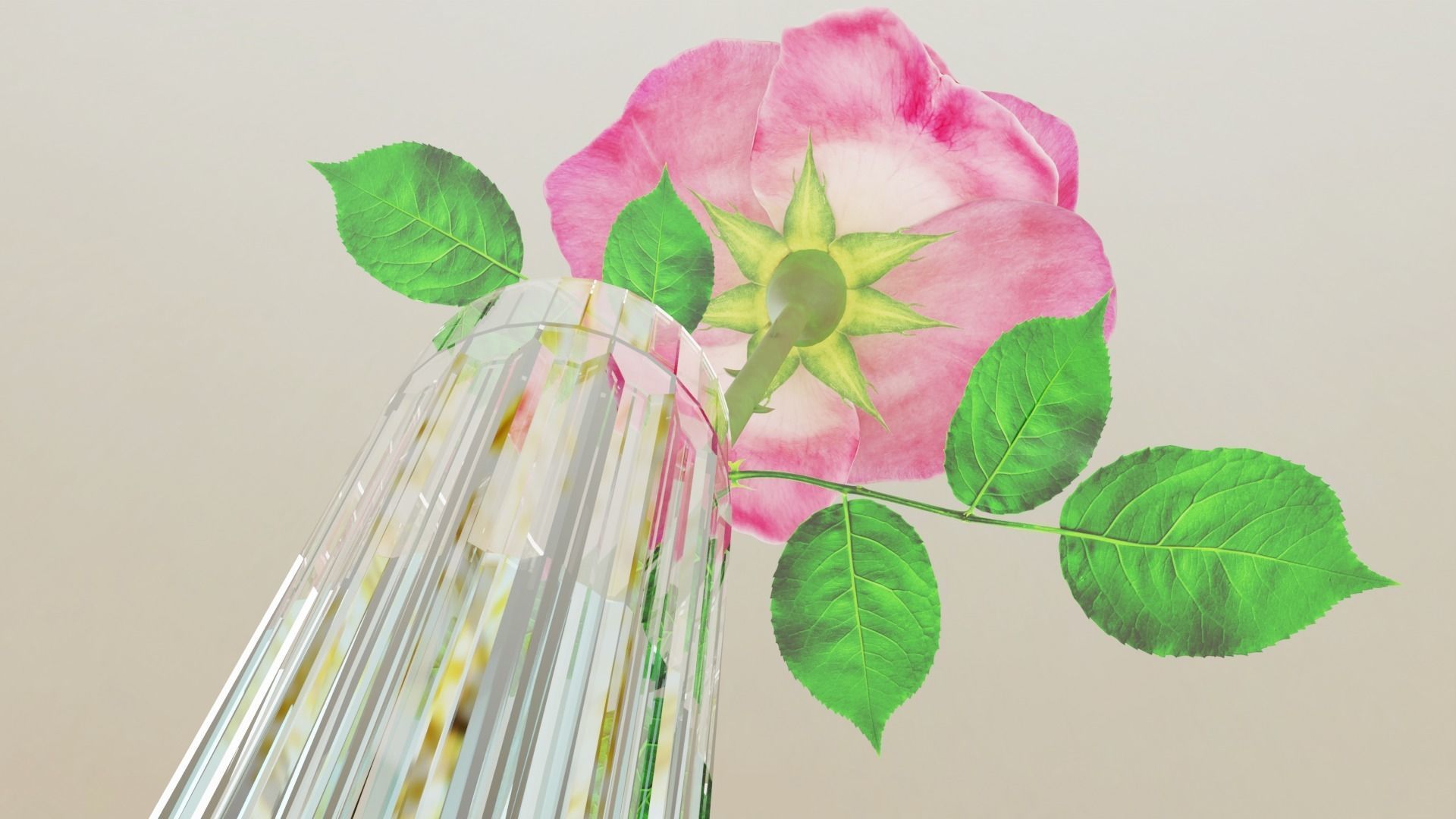 Pink Rose in a Crystal Vase 3D Model  Low-poly 3D model_5
