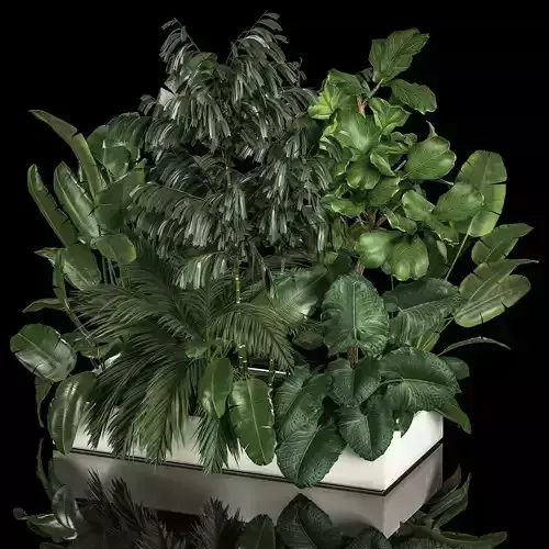 Flowerbed Of Plants With Tropical Thickets 3D model