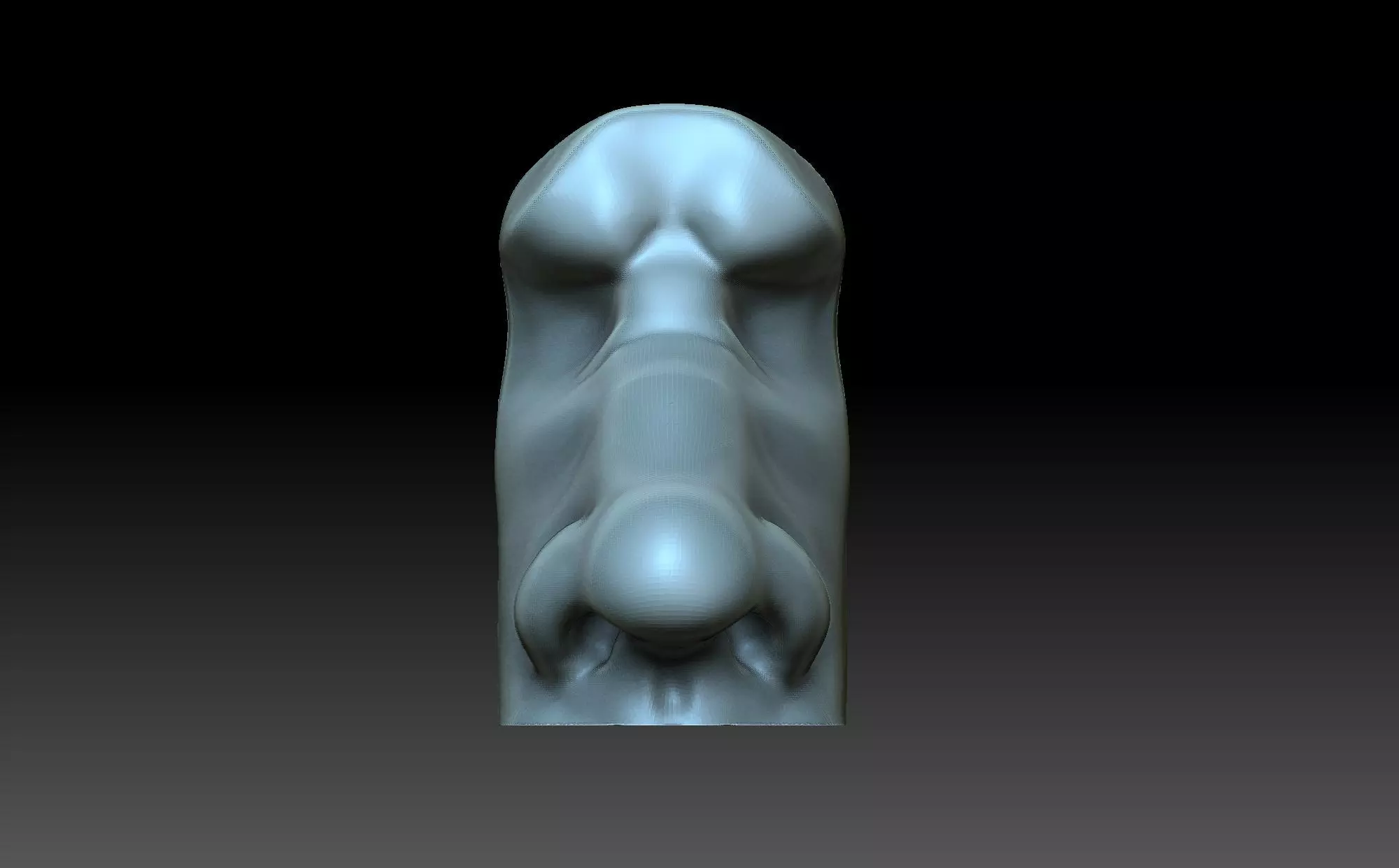 Male nose 3D print model