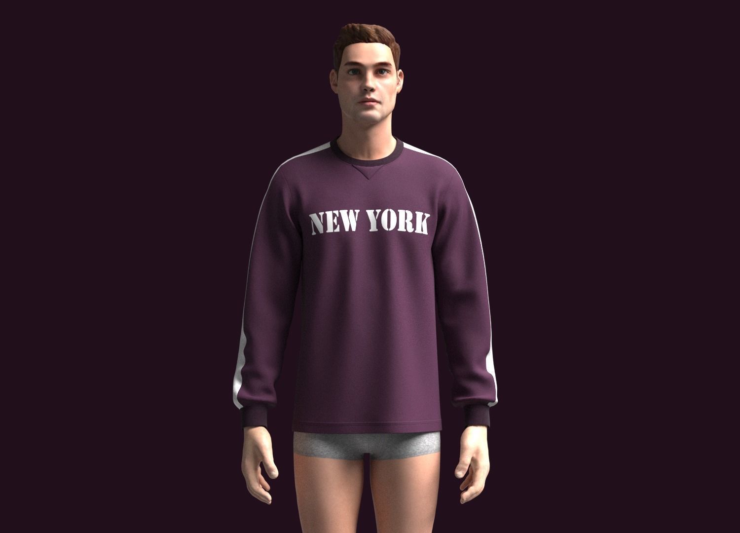 Sweatshirt-New York 3D model_1